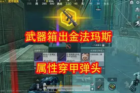 武器箱开出金法玛斯，属性有个穿甲弹头，用它赚千万