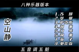 《空山静》8种乐器版本，一种超越世俗的境界。五音调五脏