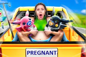 搞笑老外：为孕妇在皮卡中建密室！