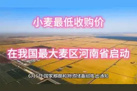 小麦最低收购价在我国最大麦区河南省启动视频封面