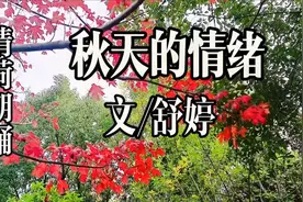 名家散文，舒婷《秋天的情绪》，感受青春的寂寞与生命的美丽