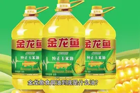 金龙鱼食用油到底是什么油？金龙鱼的油到底好不好呢？