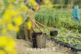 男子车上惊现女士内裤，女友愤怒提出分手，男子喊冤：这是乘客的视频封面