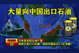 马来西亚的石油产量，明明只有0.91亿桶却向中国出口2.1亿多桶！视频封面