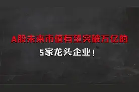 A股未来市值有望突破万亿的，5家龙头企业！视频封面