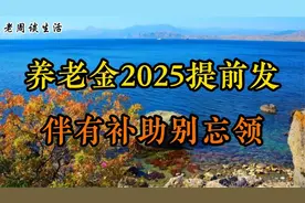 养老金2025提前发？伴有补助别忘领，与你有关周知视频封面
