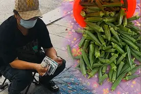 秋葵往地上一倒，胖嫂卖3块一斤，还有2盆花，卖10块一盆，贵不？视频封面