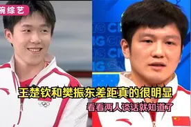 王楚钦和樊振东以及龙队之间的相互欣赏和评价视频封面