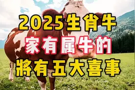 2025生肖牛，家有属牛的，将有五大喜事视频封面