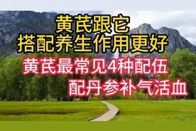 黄芪跟它搭配养生作用更好，黄芪最常见4种配伍，配丹参补气活血