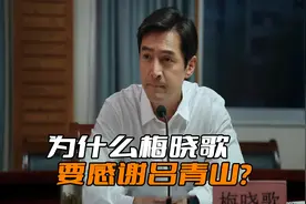 《县委大院》为什么梅晓歌要感谢前任吕青山？他帮自己扫清障碍