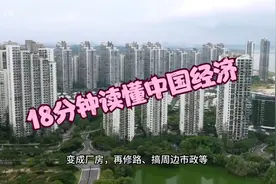 解读经济趋势，18分钟彻底读懂《中国经济》！三大要素！视频封面