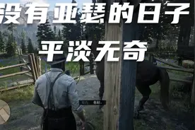 荒野大镖客2-约翰回归正常生活，教农场主儿子驯马