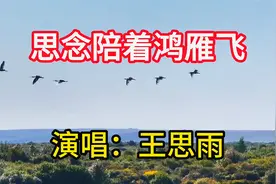 王思雨演唱《思念陪着鸿雁飞》，歌声具有感染力，令人心旷神怡