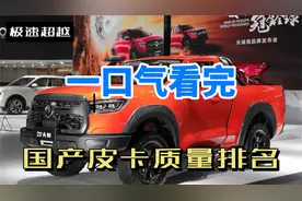 一口气看完，国产皮卡质量排名，第一名堪称陆地之王