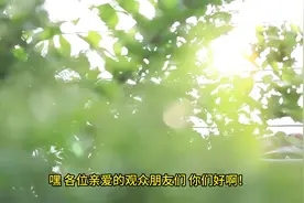 四生肖明年一飞冲天,属马人有贵人扶持，迈向巅峰