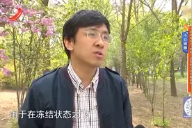 今日提醒——牛肉蒸熟长出“痘痘” 这样的牛肉还能吃吗？