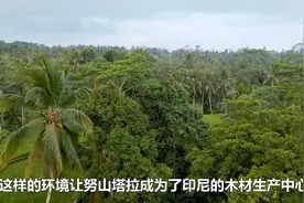 从雅加达到努山塔拉！雅万高铁刚运营，为何印尼就要迁都？