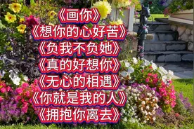 伤感情歌让人流连忘返，优美动听陶醉其中，绝妙旋律百听不厌视频封面