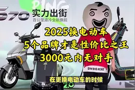2025换电动车，5个品牌才是性价比之王，3000元内无对手视频封面