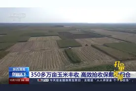陕西渭南：350多万亩玉米丰收，高效抢收保颗粒归仓视频封面