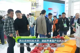 25个品种集中亮相，西北农林科技大学挑起国产苹果大梁视频封面
