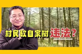 村民砍自家树违法？朱启臻：除房前屋后自己种的，砍伐得办采伐证视频封面