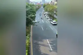 电动飙车，法不容情，深圳交警严查电动车违规行为视频封面