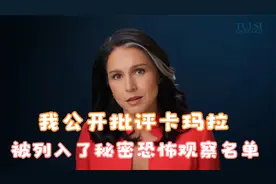 中字：图尔西：我公开批评卡玛拉后被列入了秘密恐怖观察名单视频封面