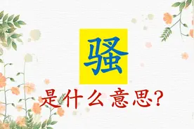 ”骚“是什么意思？