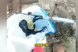 男子花两千多块钱打个井没想到打到石油了 发现石油！视频封面