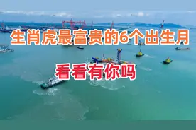 生肖虎最富贵的六个出生月，不是迷信，老祖宗的智慧，看看有你吗视频封面