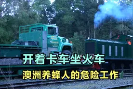 澳大利亚养蜂人，开40年卡车雨林帮蜜蜂迁徙，山谷降温大量冻死视频封面