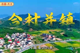 2025合村并镇：破解农村资源经济困局，驱动中国经济引擎复苏！视频封面