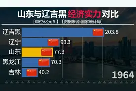 山东省与黑吉辽东北三省生产总值对比，山东不愧是北方第一省！视频封面