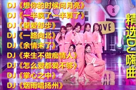 网络20首金曲，歌声甜美动听，旋律优美感人，无限循环，收藏好！