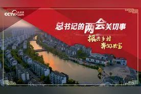 【总书记的两会关切事｜振兴乡村 奔向共富】视频封面