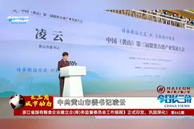 中国（黄山）第三届徽派古建产业发展大会在屯溪开幕视频封面