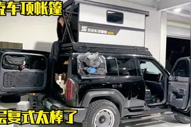 给豹5安装个硬壳车顶帐篷，二层小复式！两人两狗出行睡觉舒服了视频封面