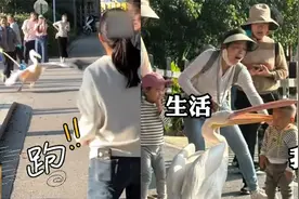 动物园鹈鹕又惹事了，一口叼住小孩的脑袋，飞奔逃离动物园被抓