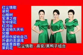 🗺️ 黑鸭子组合经典歌曲精选12首联唱