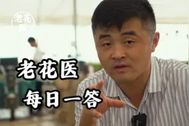 水浇太多怎么缓过来？月季怎么修剪能圆润？