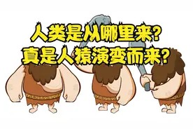 科普：人类是从哪里来？真是人猿演变而来