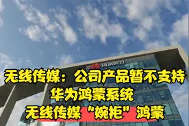 无线传媒：公司产品暂不支持华为鸿蒙系统 无线传媒“婉拒”鸿蒙视频封面