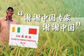 “谢谢中国专家，谢谢中国” | 零时差·第一现场