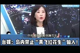 台媒：岛内禁止“黄飞红花生”输入视频封面