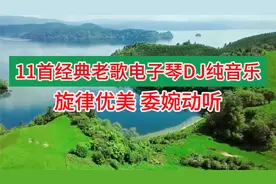 11首经典老歌电子琴DJ纯音乐分享，旋律优美委婉动听，舒缓心情