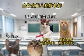 当你家里人都是老师#猫meme小剧场 #猫咪上学日记  #学生时代视频封面