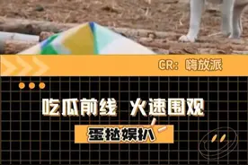 大小姐的善良与勇敢温暖了身边的每一个人
#嗨放派  #郑恺  #大小姐  #小狗  #世界上不能没有小狗 视频封面