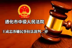 9：王成忠涉嫌民事枉法裁判（二审）【法庭辩论】视频封面